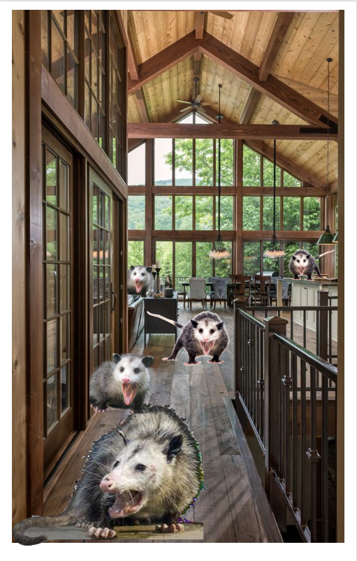 possum_library.png